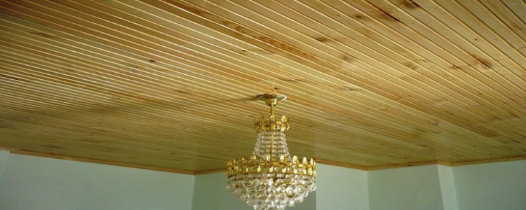 Lambiri ve Asma Tavan